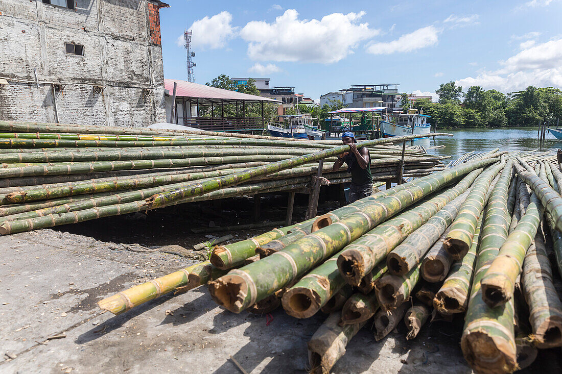 One of the regions most affected by armed conflict and violence generated by drug trafficking, criminal gangs, and insurgent groups is the South Colombian Pacific. And one of the most representative municipalities in this region is the port of San Andrés de Tumaco.