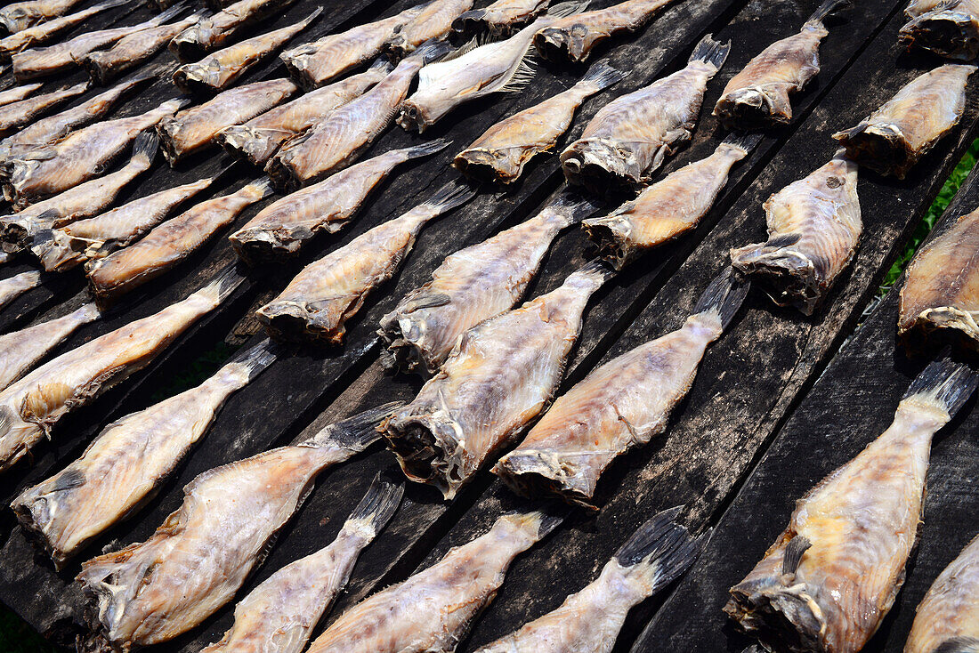 Dried fish street shop in Weligama, Sri Lanka