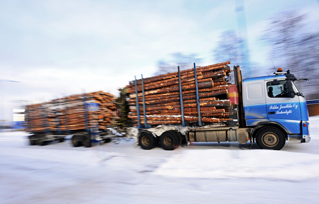 Truck carries tree logs