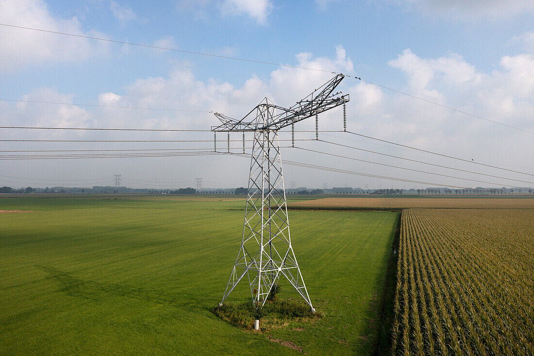 Stromleitungen, die durch Felder verlaufen