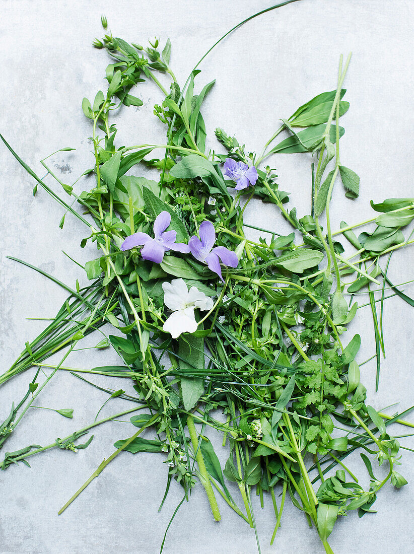 Studio shot of wildflowers and leaves