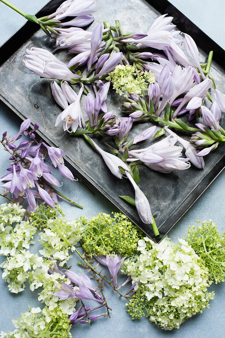 Studio shot of Spring blossoms on tray