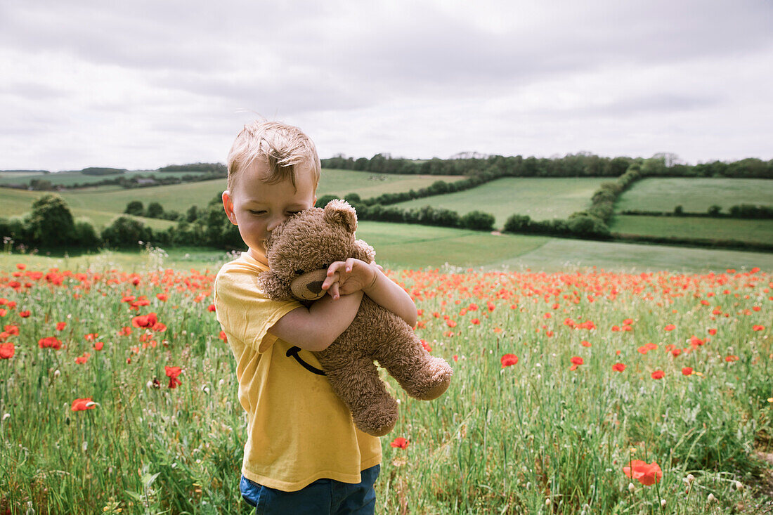 Junge (18-23 Monate) umarmt Teddybär im Mohnfeld