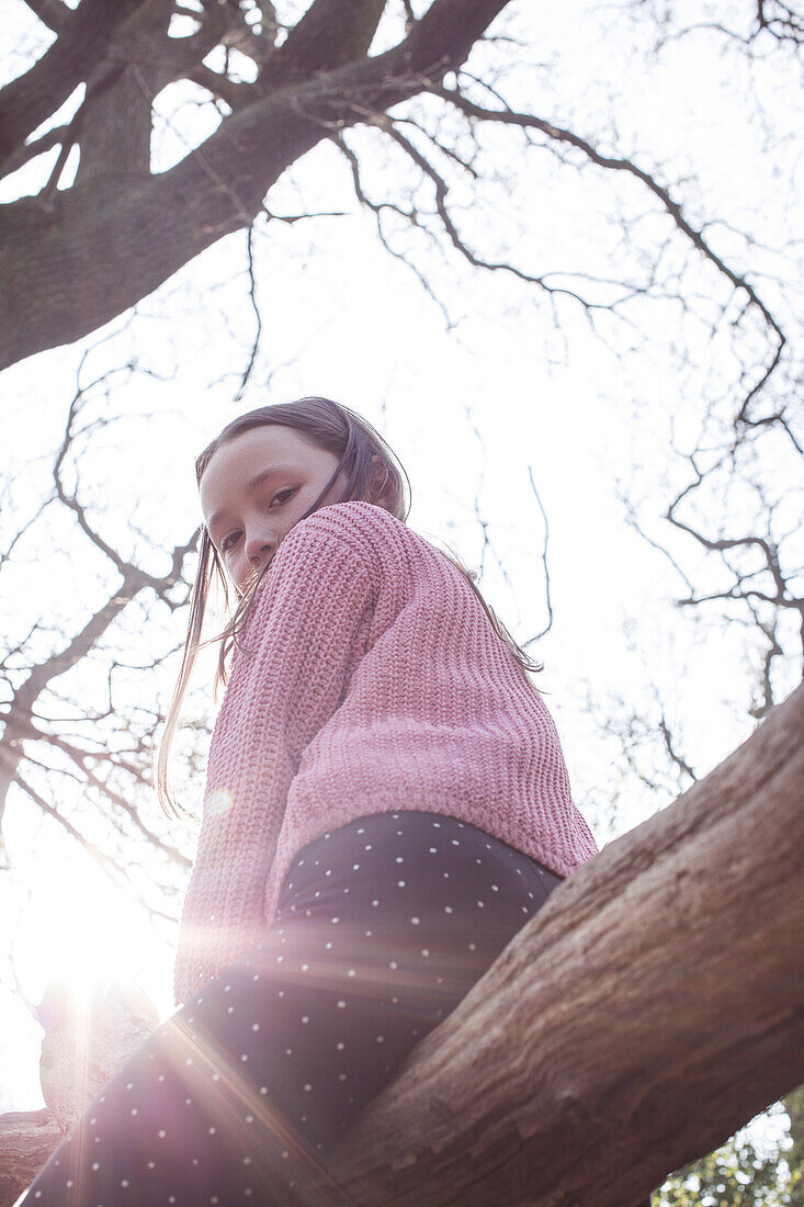 Low angle view of girl (4-5) sitting on tree branch