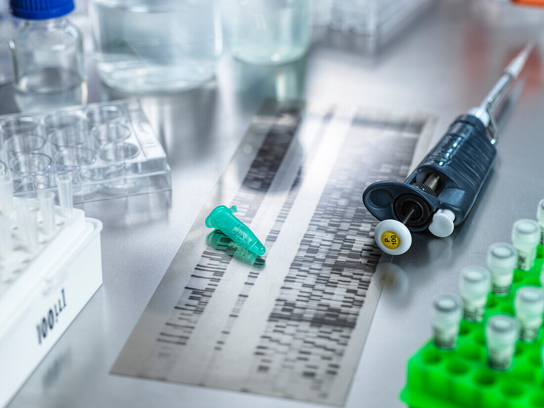 DNA-Gel-Probe im Labor