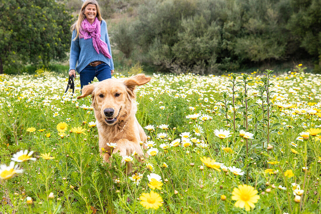 Spanien, Mallorca, Lächelnde Frau mit Golden Retriever in blühender Wiese