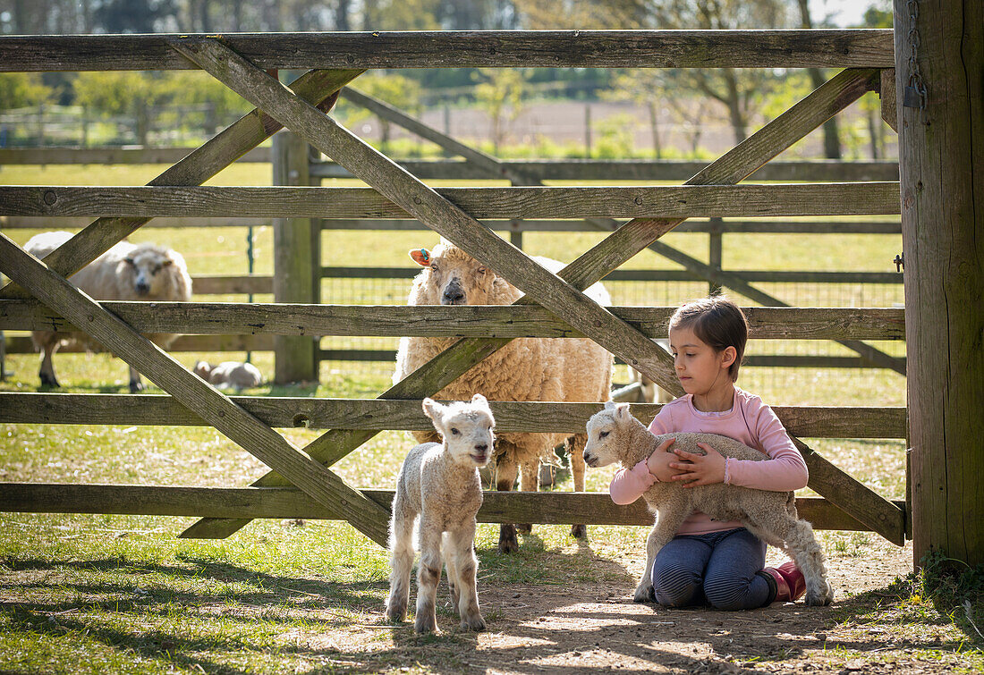 UK, North Yorkshire, Mädchen (6-7) umarmt Lamm auf Biobauernhof