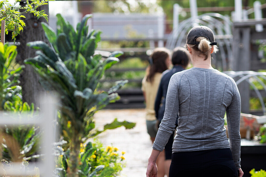 Australia, Melbourne, Three women working in community garden