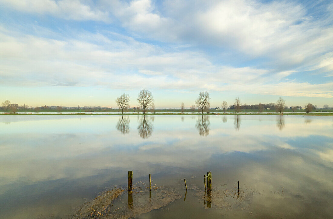 Wet polder landscape after extreme rainfall