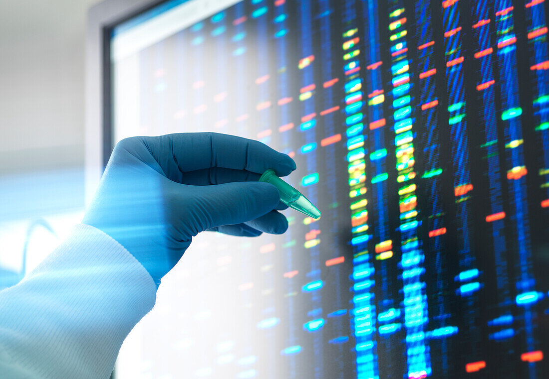Wissenschaftlerin gleicht DNA-Probe mit Ergebnissen auf dem Bildschirm ab