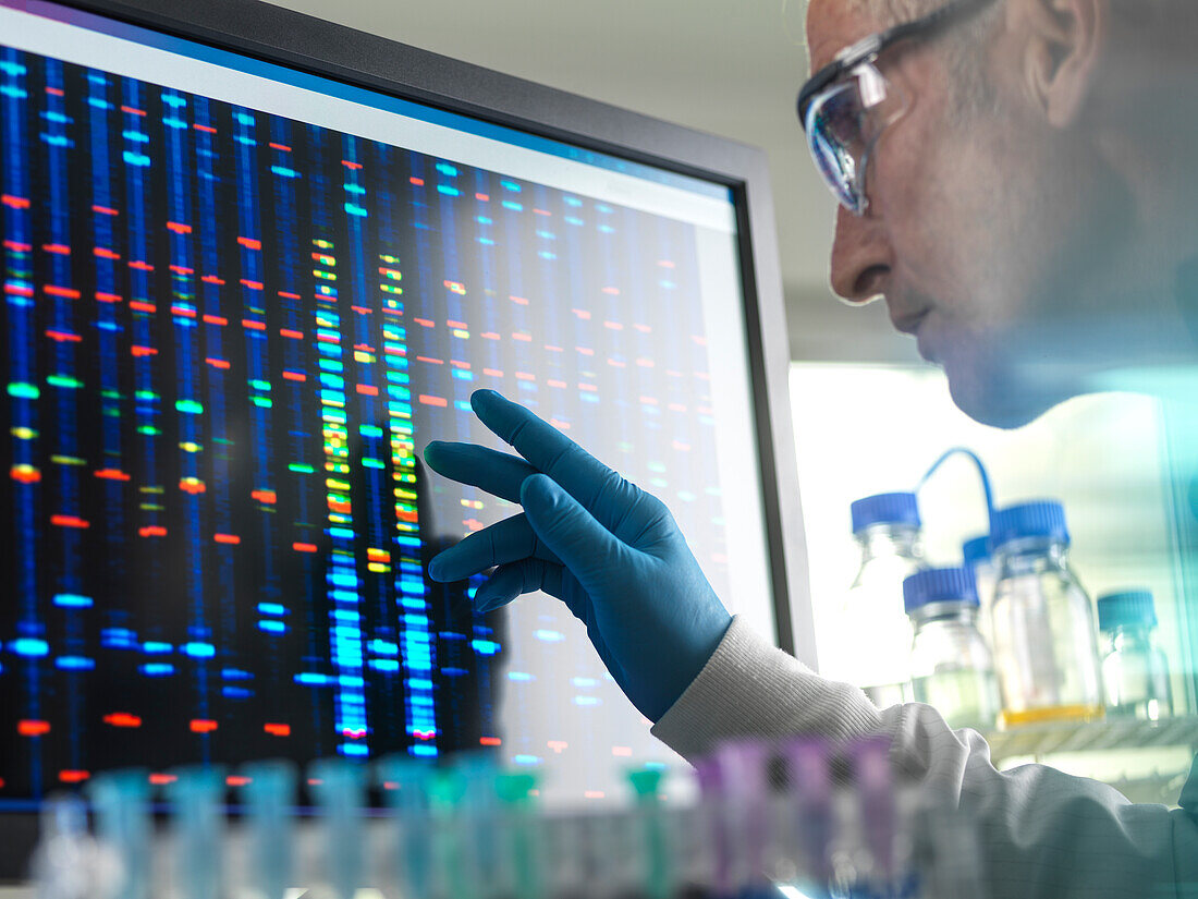 Wissenschaftlerin betrachtet die Ergebnisse einer DNA-Probe auf dem Bildschirm während eines klinischen Experiments