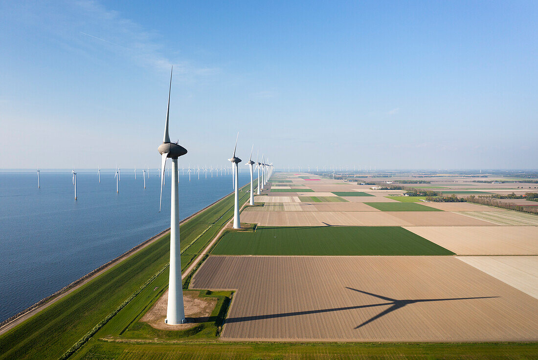 Netherlands, Emmeloord, Wind turbines in fields at coast