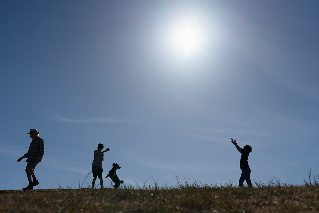 Silhouette eines Mannes und zweier Jungen (12-13) auf einer Wiese