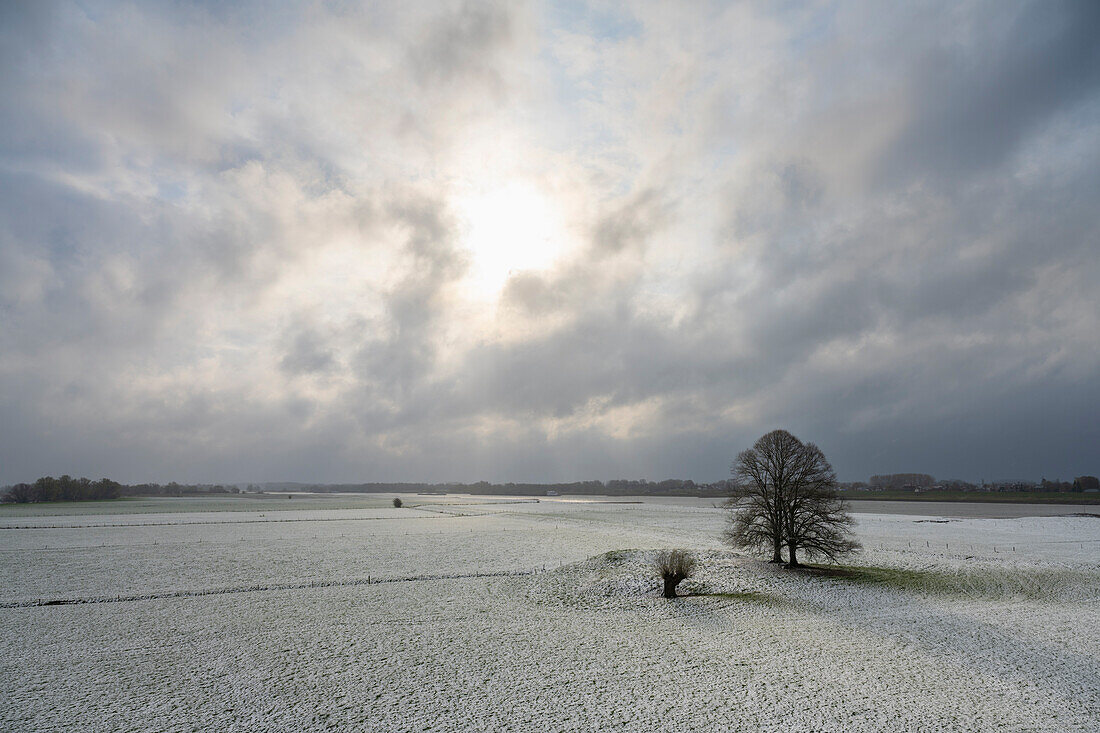 Floodlands around river Waal in winter