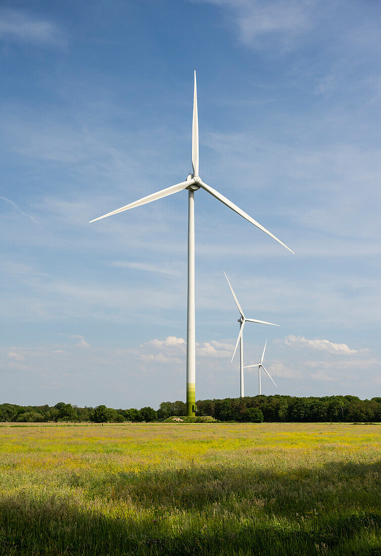Wind turbines in spring