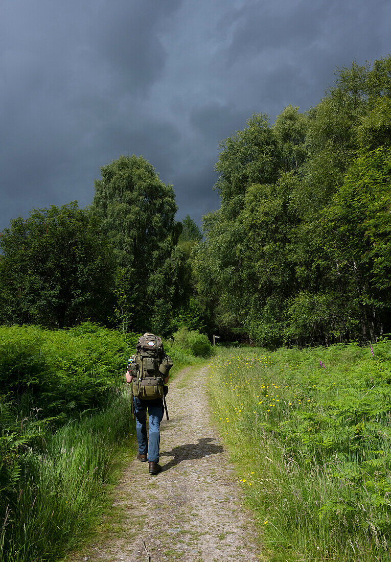 UK, Schottland, Rückansicht eines Mannes mit Rucksack in einer Landschaft