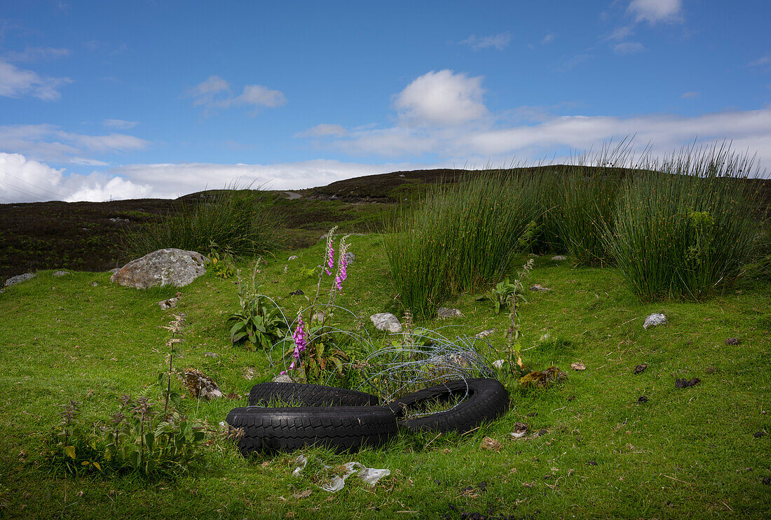 UK, Scotland, Abandoned tires in meadow