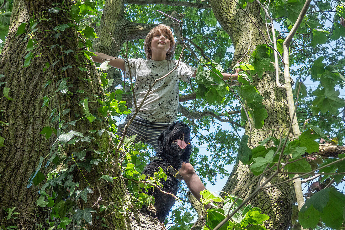 Junge mit Hund auf belaubtem Baum