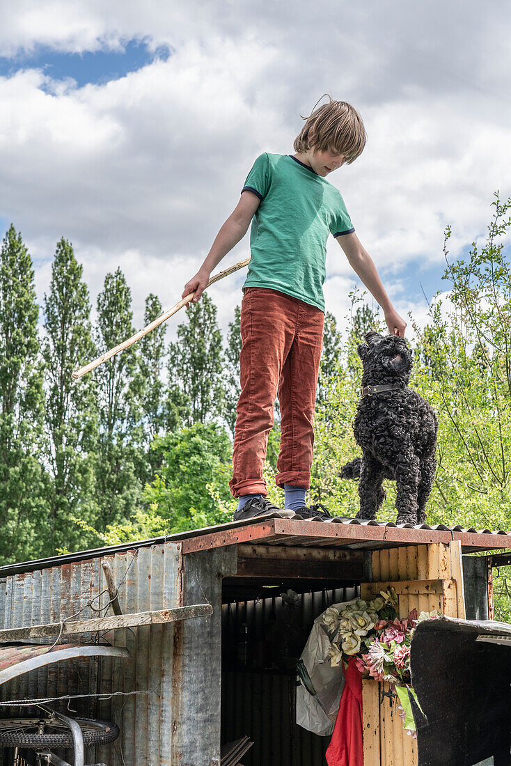 Junge mit Hund steht auf dem Dach einer Kleingartenhütte