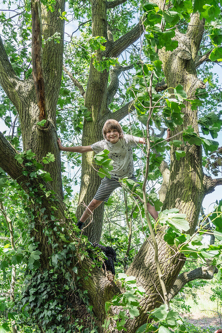 Portrait of smiling boy standing on leafy tree