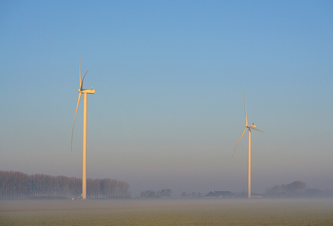 Niederlande, Noord-Brabant, Windkraftanlagen an einem nebligen Morgen