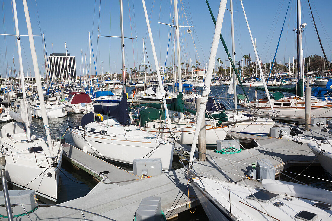 A Busy Harbour Full Of Boats; California, United States Of America