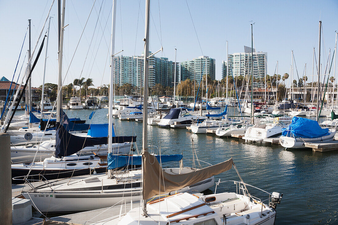 A Busy Harbour Full Of Boats; California, United States Of America