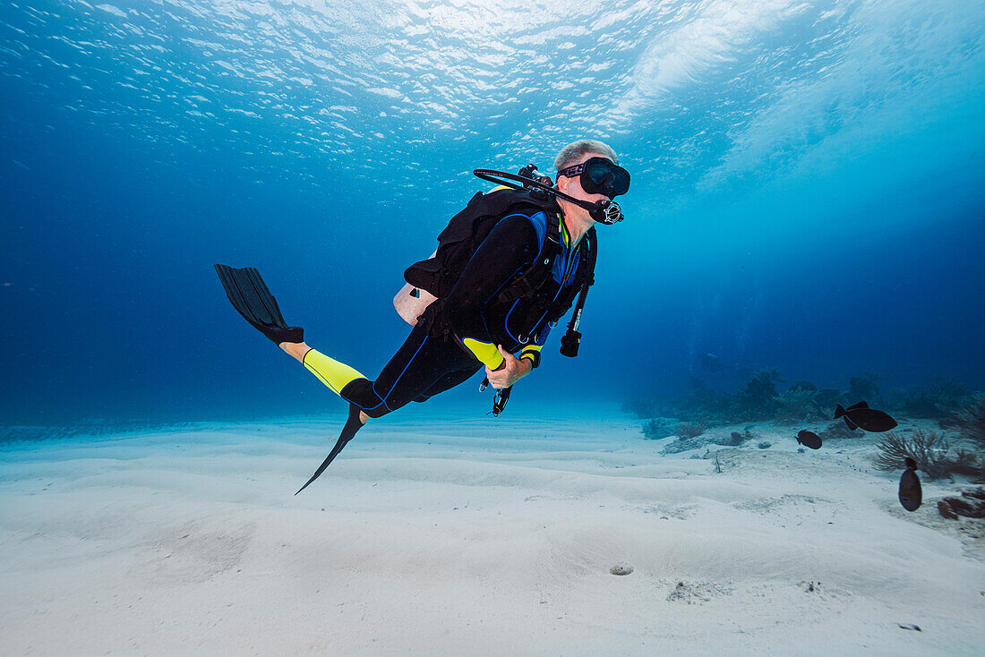 Bahamas, Nassau, Mann taucht im Meer