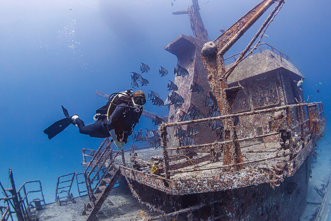 Bahamas, Nassau, Taucherinnen und eine Gruppe von Falterfischen schwimmen in der Nähe eines Schiffswracks