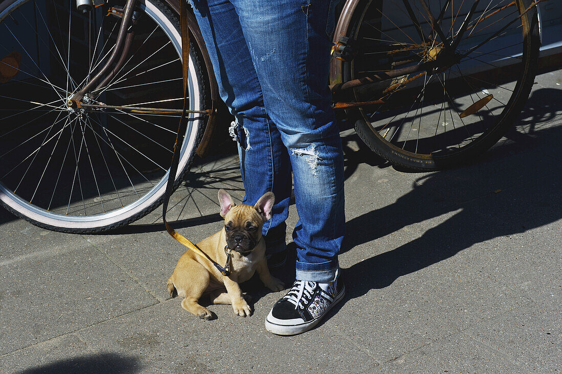 Eine junge Frau steht mit ihrem kleinen Hund an der Leine neben einem Fahrrad; Hamburg, Deutschland.