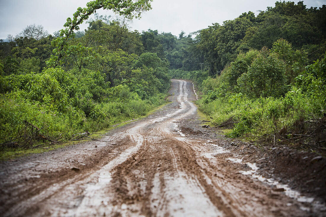 Rough Dirt Road In The Highlands Of Western Ethiopia; Ethiopia