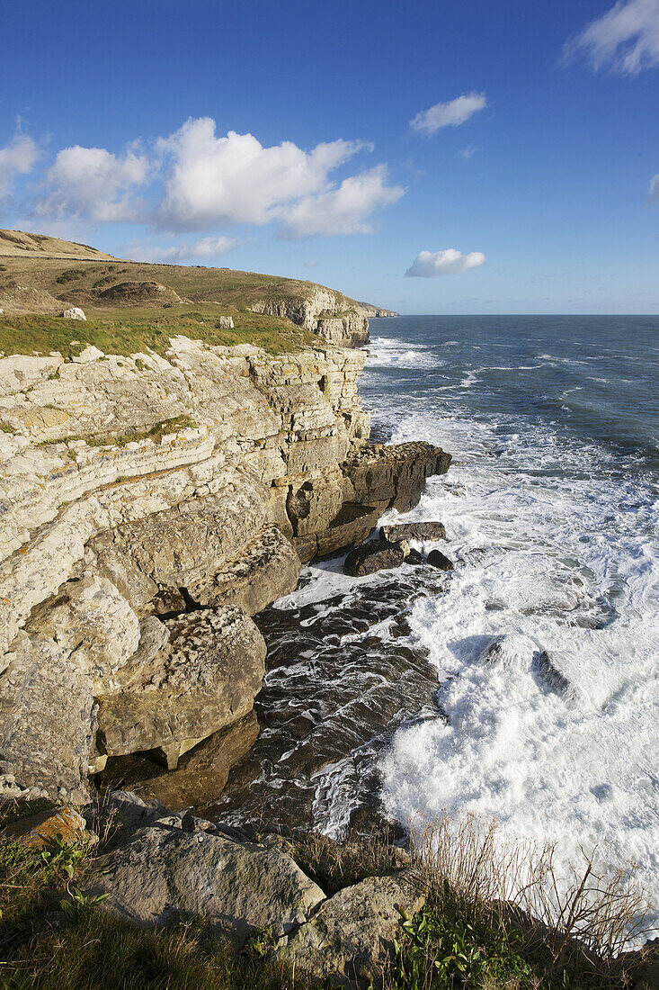 Küstenklippen auf der Isle of Purbeck; Dorset, England