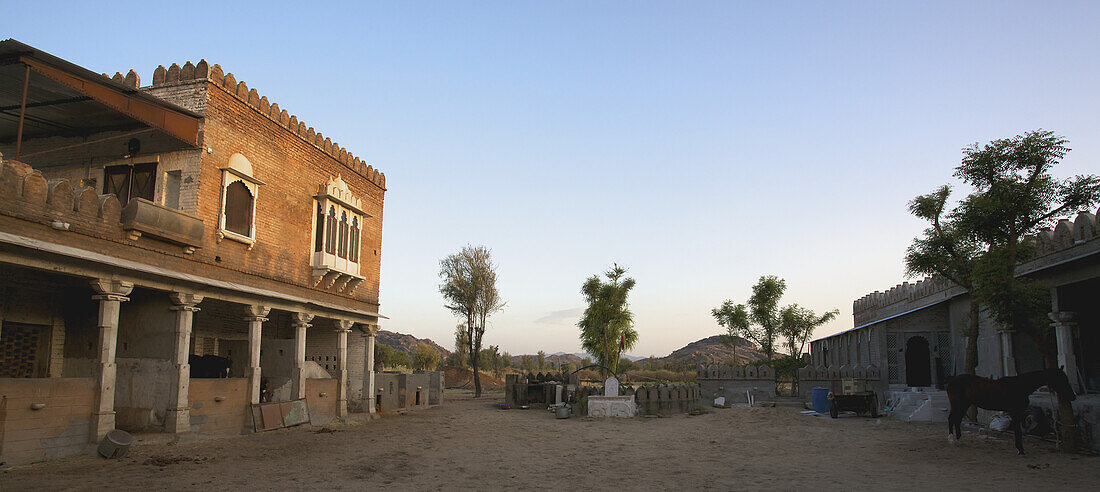 Ställe im Bezirk Pali; Rajasthan, Indien
