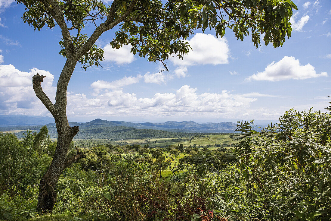 Highland Scenery; Ethiopia