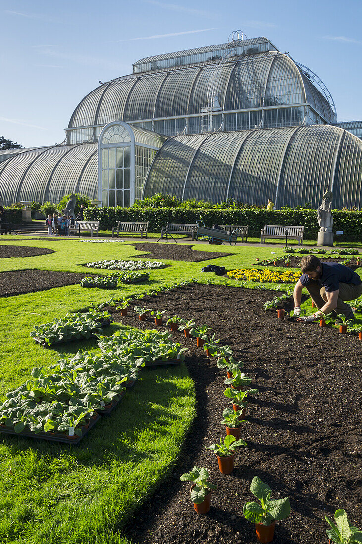 Palmenhaus, Kew Gardens; London, England