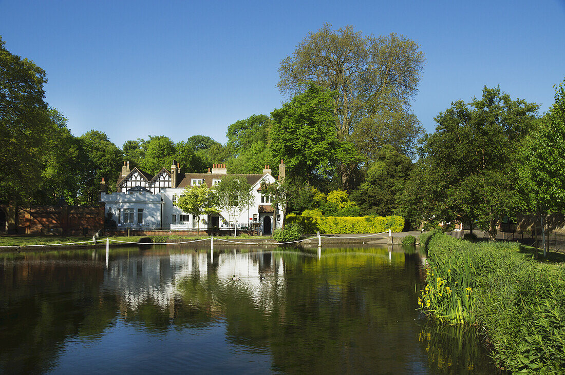 Carshalton Ponds; London, England