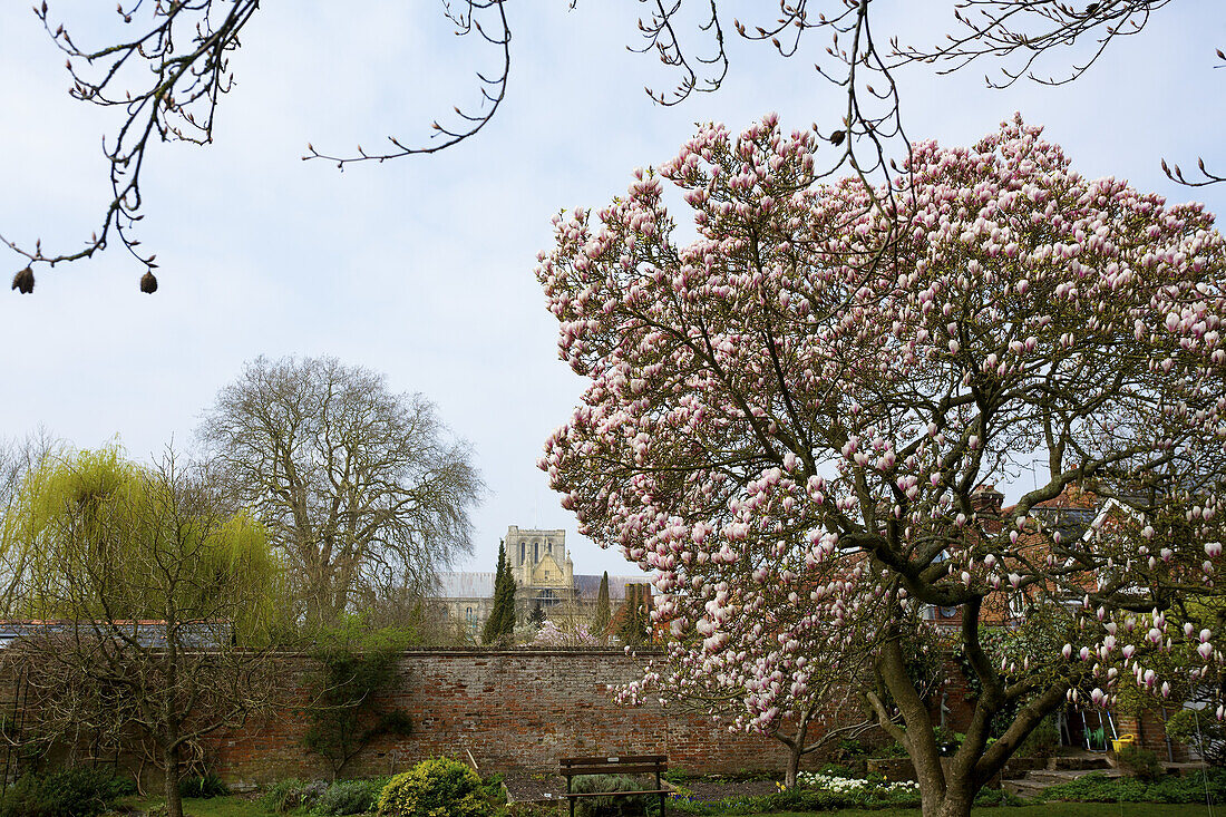 Winchester Cathedral; Winchester, Hampshire, England