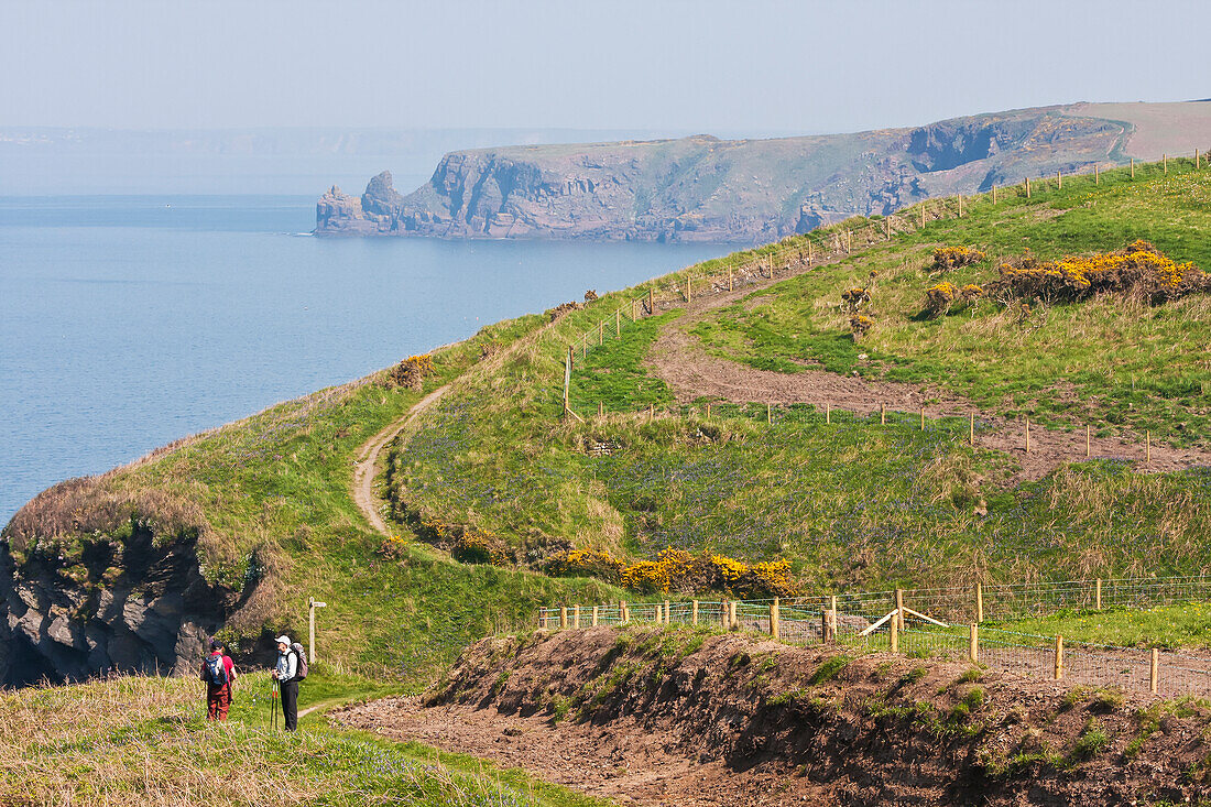 Zwei Wanderer zwischen Marloes und Martin's Haven auf dem Küstenpfad von Pembrokeshire; Wales.