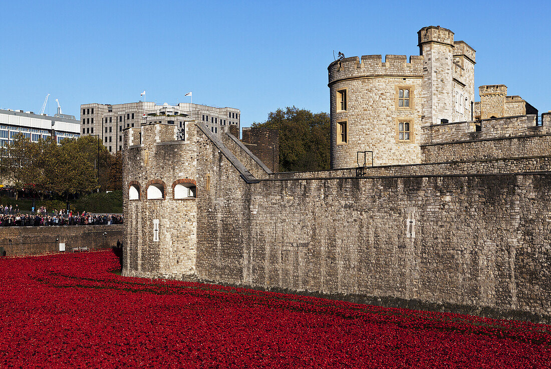 Keramische Mohnblumen am Tower of London zum Gedenken an den 100. Jahrestag des Ersten Weltkriegs; London, England