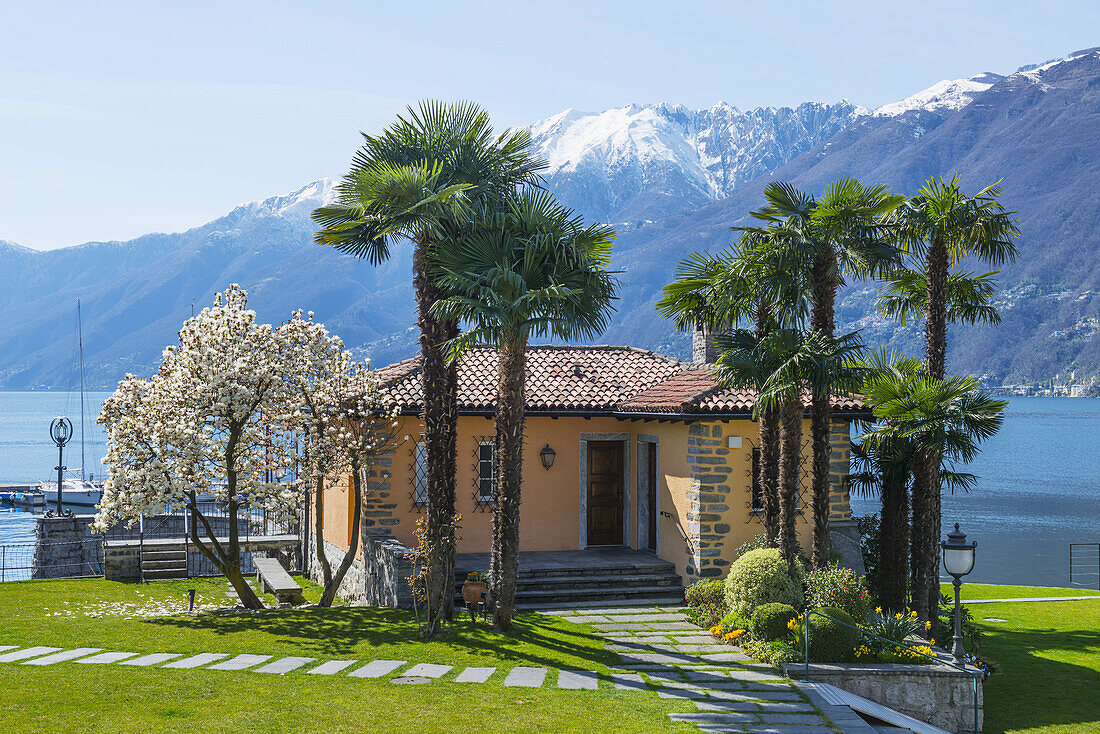 Lake Maggiore And The Swiss Alps; Ascona, Ticino, Switzerland