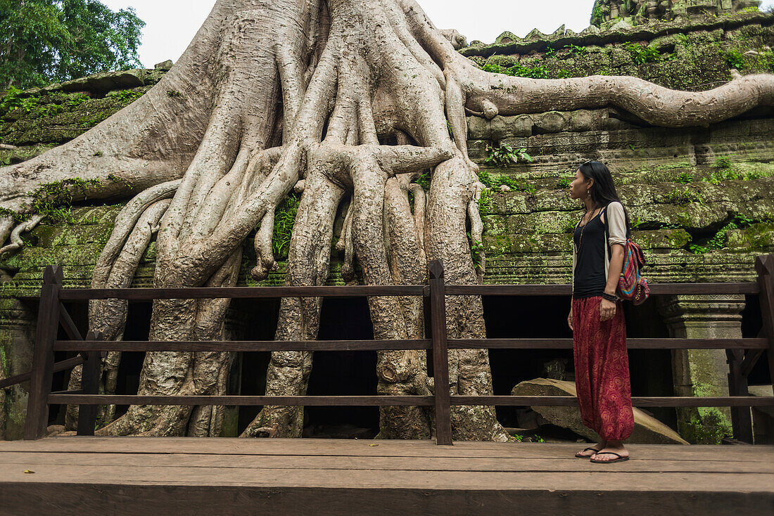 Ta Prohm, beeindruckender Tempel im Angkor-Gebiet, erbaut im zwölften Jahrhundert; Siem Reap, Kambodscha