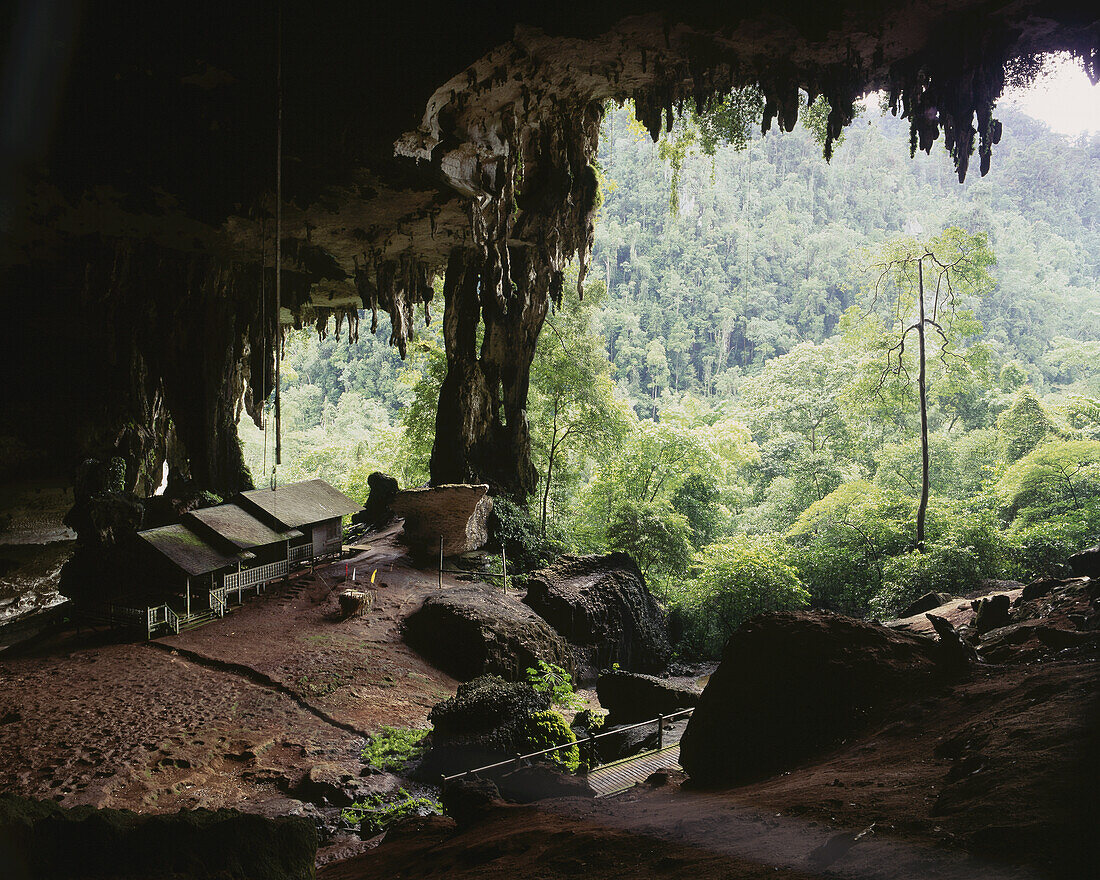 Mulu Mulu Caves; Sarawak