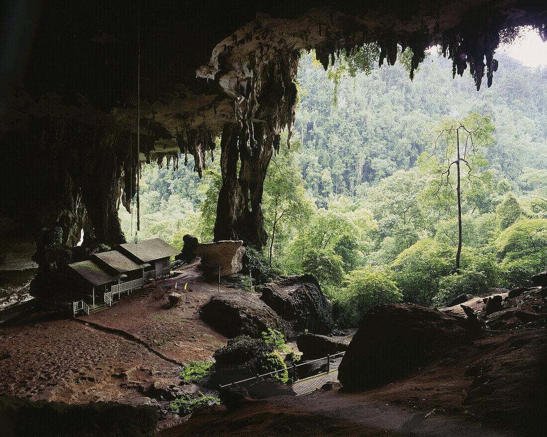 Mulu Mulu Höhlen; Sarawak