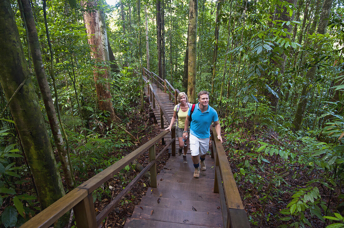 Canopy Walk At Ulu Temburong National Park; Brunei