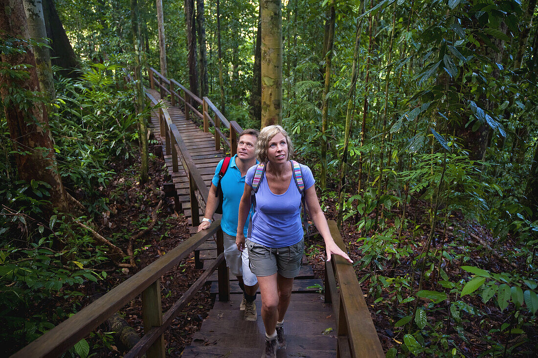 Tourist On Canopy Walk At Ulu Temburong National Park; Brunei