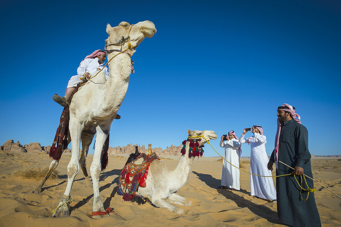 Reiten auf Kamelen; Madain Saleh, Saudi-Arabien