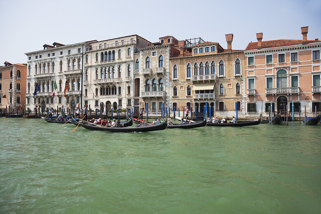 Gondolas On The Grand Canal; Venice, Italy