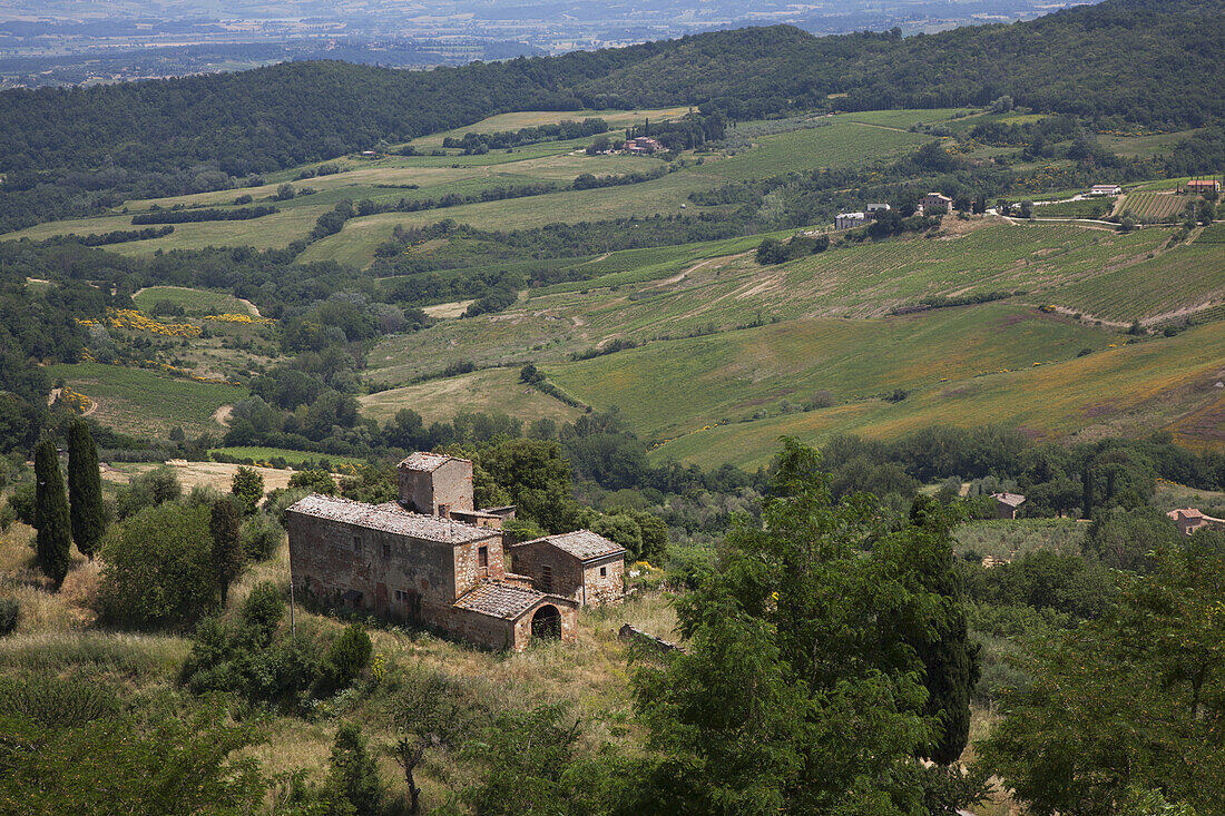 Tuscan Countryside; Montepulciano, Val D'orcia, Tuscany, Italy