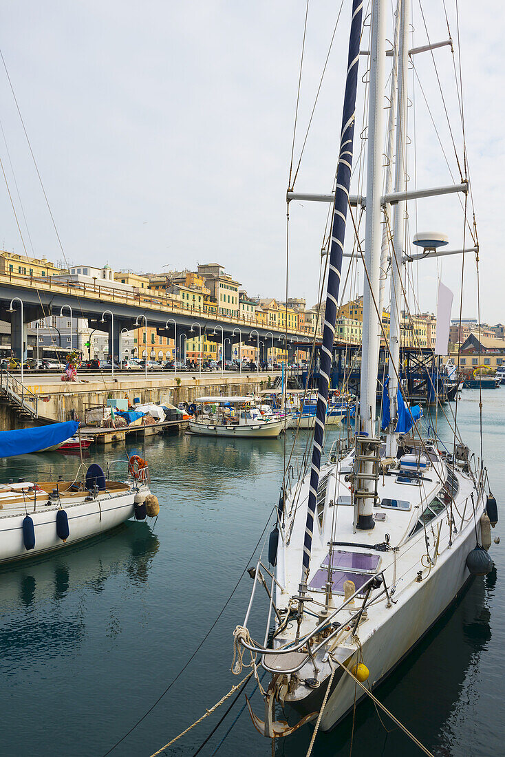 Sailboat Moored In Harbour; Genoa, Liguria, Italy