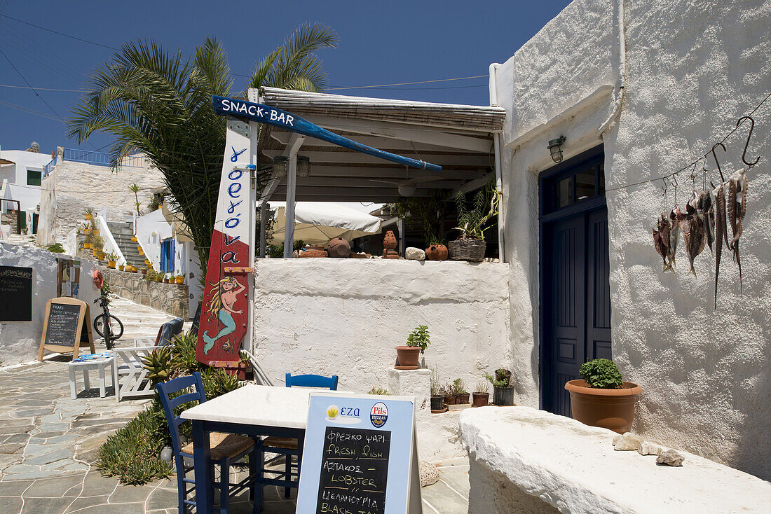 Oktopus hängt vor einer Taverne in Faros an der Südostküste von Sifnos; Faros, Sifnos, Kykladen, Griechische Inseln, Griechenland
